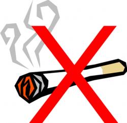 Imagem da notícia - Dia Mundial sem Tabaco traz ações de conscientização sobre os males do consumo e exposição à fumaça
